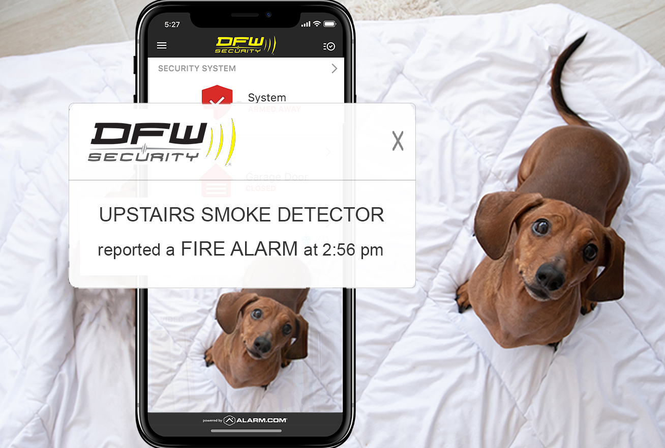 Dogs on bed and alert on phone stating there is a fire alarm