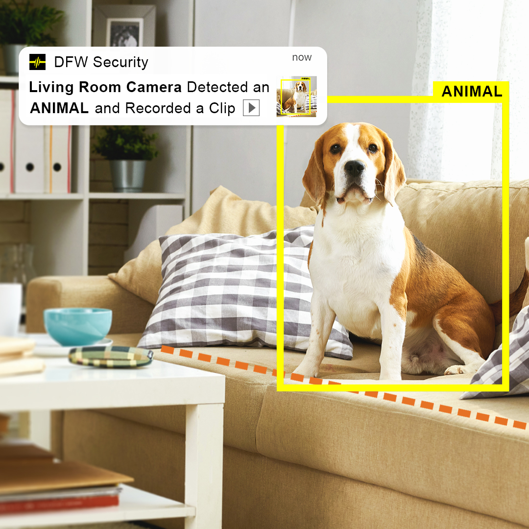 Watching Pets on Home Security Cameras