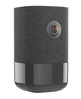 WellCam Smart Speaker with Camera